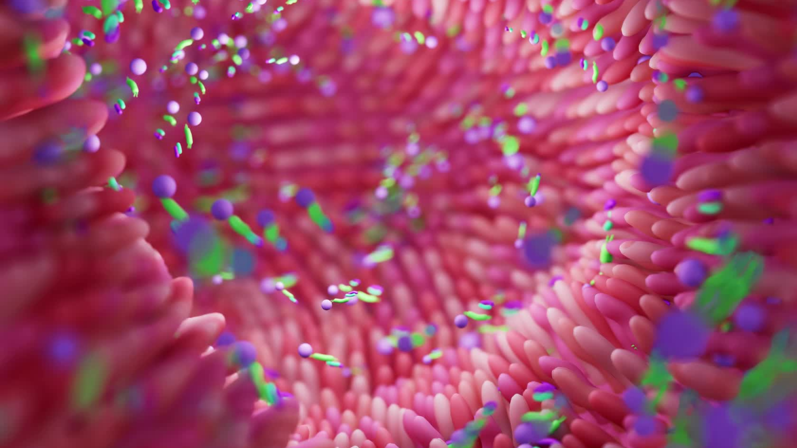 Why is the gut microbiome so important to overall health?