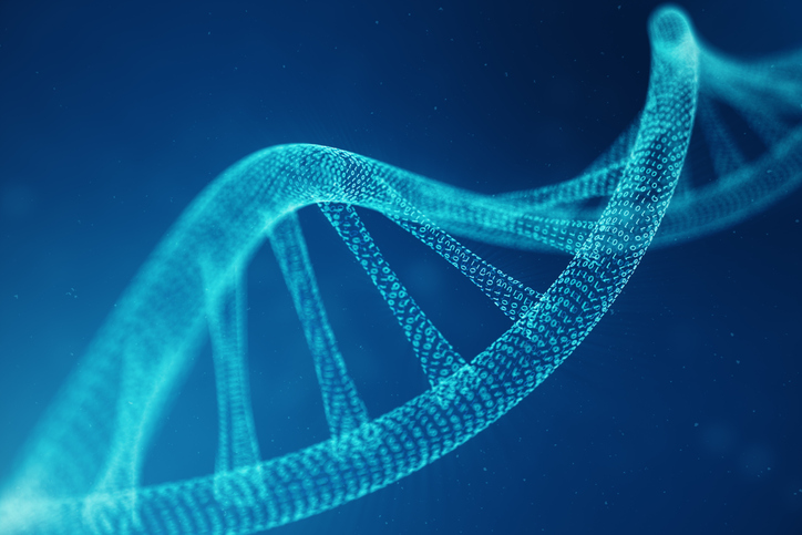 Our genes are evolved to give us a high Cholesterol!