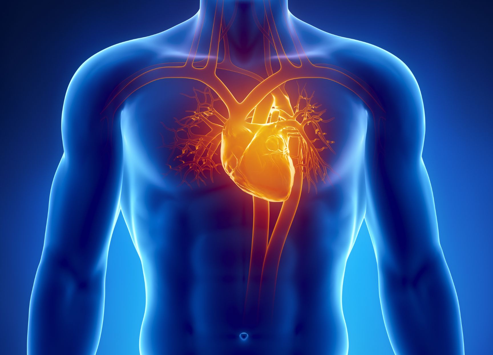 Atrial Fibrillation Techniques - OneWelbeck
